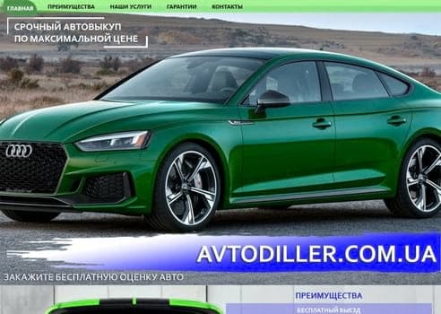 Портфолио